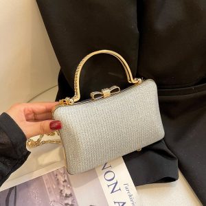Fashionable Simple Evening Bag